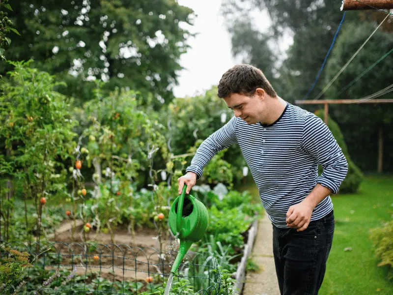 Disabled man with down syndrome watering vegetable garden