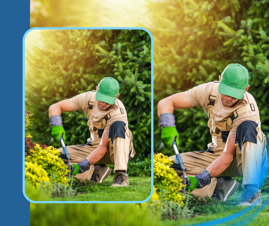 Gardening: How to Maintain a Beautiful Outdoor Space Successfully