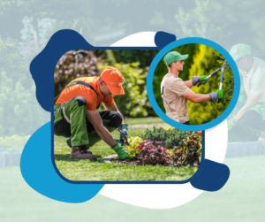 Gardening: How to Maintain a Beautiful Outdoor Space Successfully
