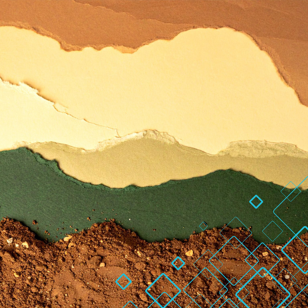 Arts Program – Collage Landscapes